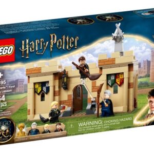 Primeira Lição de Voo (76395)
