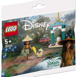 Polybag Raia and the ongi (30558)