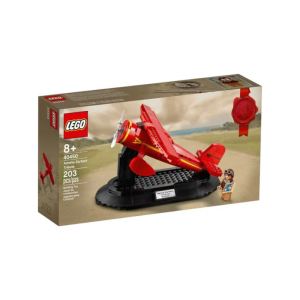 Tributo a Amelia Earhart (40450)
